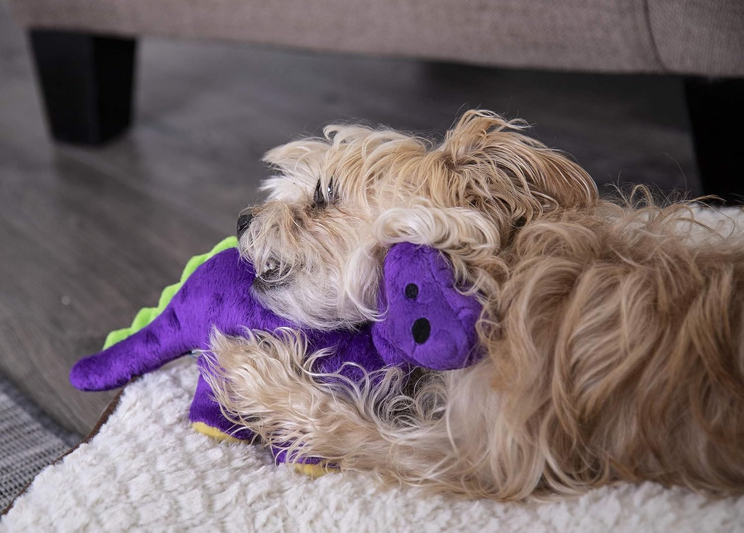 goDog Jouet pour chien Bruto le mini Dino – Image 5