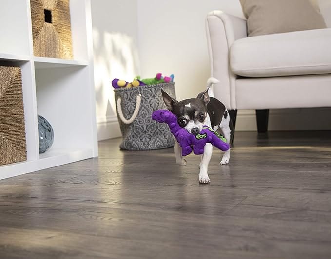 goDog Jouet pour chien Bruto le mini Dino – Image 4