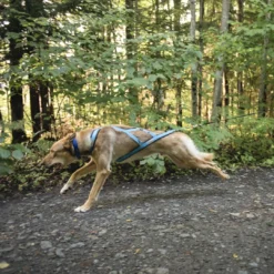 Alternative view of Nahak Harnais de Traction pour Chien