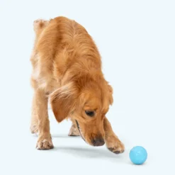 Alternative view of West Paw, Balles Boundr en Paquet de 2