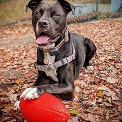 Alternative view of Jolly Pets Ballon de football, 8 po