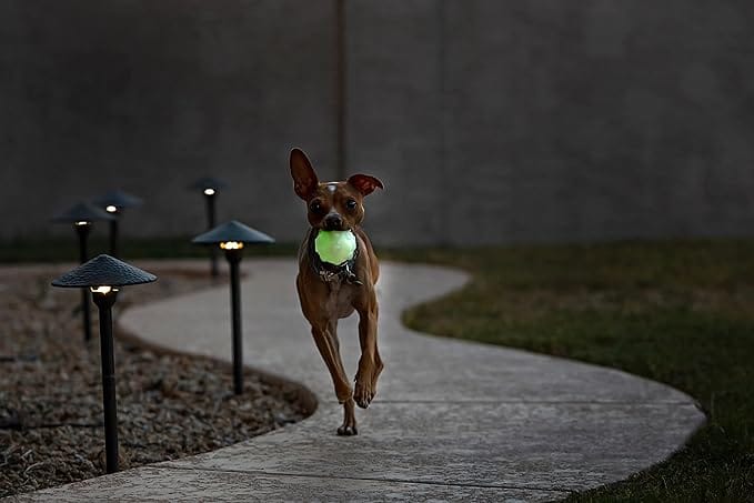 Jolly Pets Balle réfléchissante – Image 3