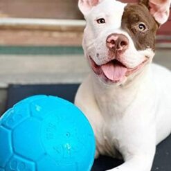 Jolly Pets Ballon de soccer, Couleurs Assorties