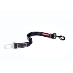 Sécurité Automobile