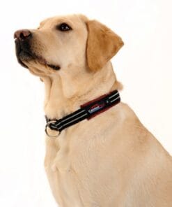 ComfortFlex, Collier d'entraînement