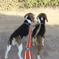 Rogz, Coupleur Utilité