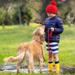 Rogz, Laisse Amphibienne