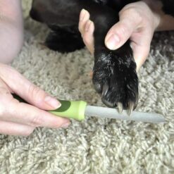 Alternative view of Safari – Lime à griffes (diamant)