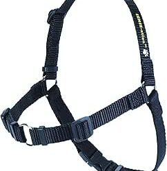 Softouch Les Harnais SENSE-ation et SENSE-ible