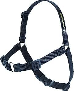 Softouch, Les Harnais SENSE-ation et SENSE-ible