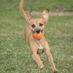 Alternative view of Chuckit! Petites Balles de Tennis, Paquet de 2