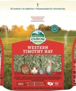 Oxbow, Foin Timothy occidental