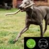 5 Étoiles Nourriture crue pour chien - Entretien Agneau et Porc, 10 lb