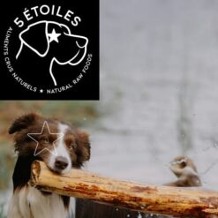 Aliments crus 5 étoiles