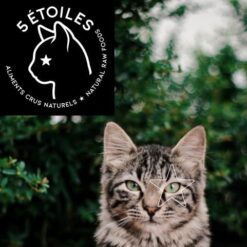 Aliments crus 5 étoiles