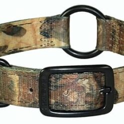HAMILTON Collier de chasse pour Chien, 1po