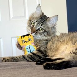 Alternative view of Kong Chat Artz Dahli/Van Gogh, Paquet de 2