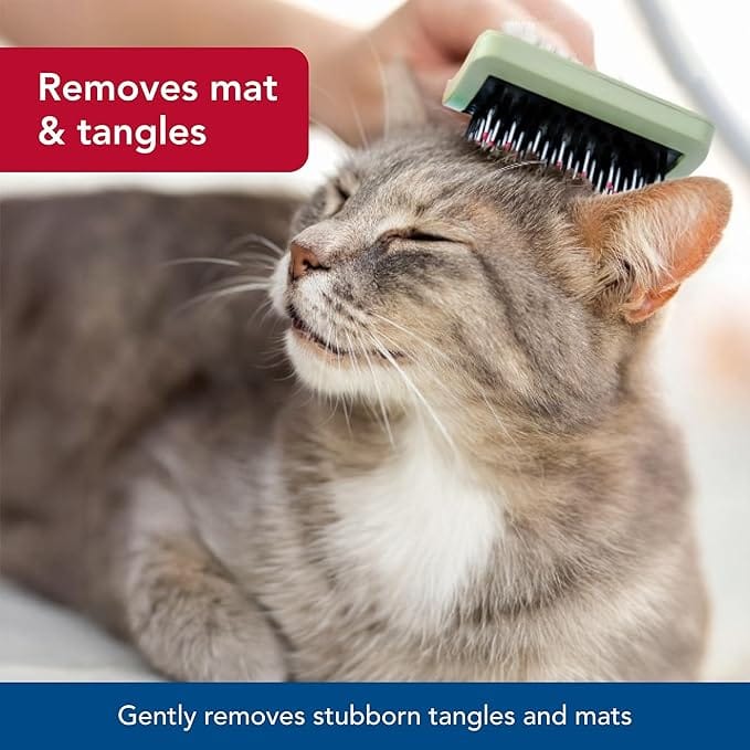 Safari Brosse complète pour chat – Image 2