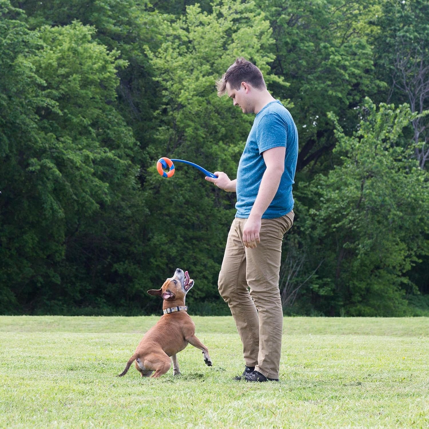 Chuckit! Le Lance Anneau pour chiens Ring Chaser – Image 5