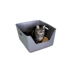 CDSG Bac à Litière pour Chat, Gris – Image 4