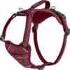 Halti Harnais Anatomie pour chien, Magenta