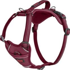 Halti Harnais Anatomie pour chien, Magenta