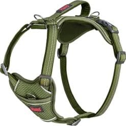 Halti Harnais Anatomie pour Chien, Vert Olive, Moyen