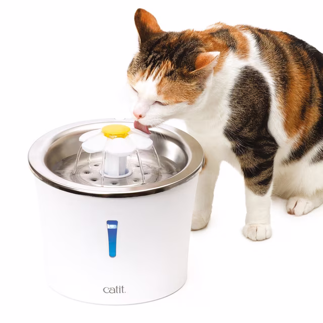 Catit Fontaine avec fleur et dessus en acier inoxydable 3 litres - Combo avec Napperon – Image 4