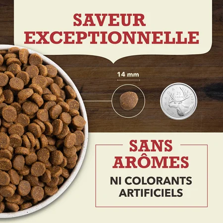 Acana Recette à la Viande Rouge pour Chien – Image 5