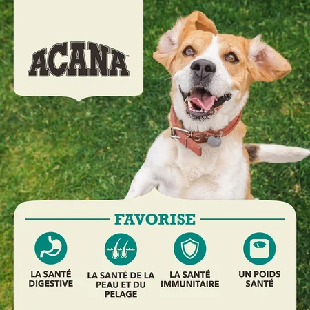 Acana Recette aux Poissons d’Eaux froides pour Chiens – Image 6