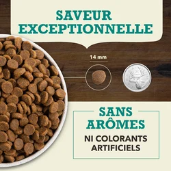 Acana Recette aux Poissons d’Eaux froides pour Chiens – Image 5