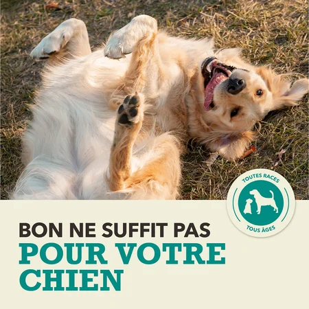 Acana Recette aux Poissons d’Eaux froides pour Chiens – Image 4