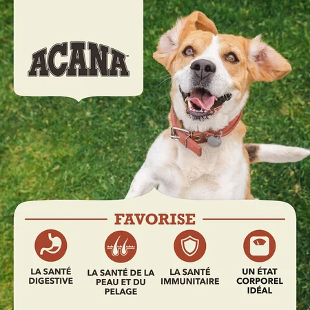 Acana Limité en Ingrédients, Formule Boeuf et citrouille pour Chien – Image 4