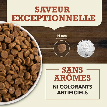 Acana Limité en Ingrédients, Formule Boeuf et citrouille pour Chien – Image 5