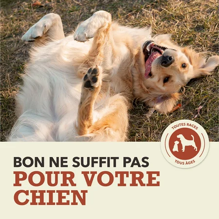 Acana Limité en Ingrédients, Formule Boeuf et citrouille pour Chien – Image 6