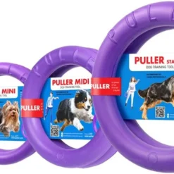 Puller Rondelles de jeu interactif pour Chien