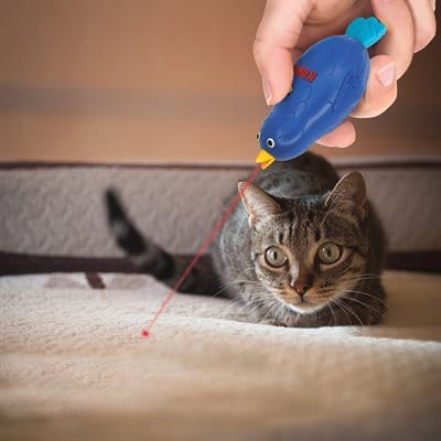 KONG pour Chats L'Oiseau Laser « Chirps » – Image 2