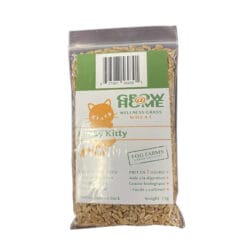 Lucky Kitty Graines de blé à Semer, 75 g