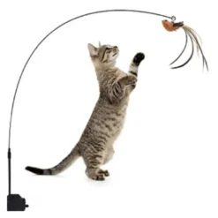 Cloe e Cluzo, Jouet chat interactif avec Ventouse