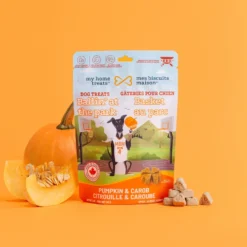 Mes biscuits maison Basket au Parc Citrouille et Caroube, 140 g