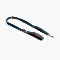 Ezydog Laisse Zero Shock pour Chien, 48 pouces