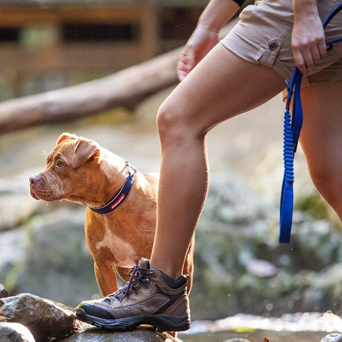 Ezydog Laisse Zero Shock pour Chien, 25 pouces – Image 6