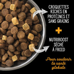 Nutrience SubZero Vallée du Fraser Nourriture sèche pour Chien, 1.8 kg – Image 4