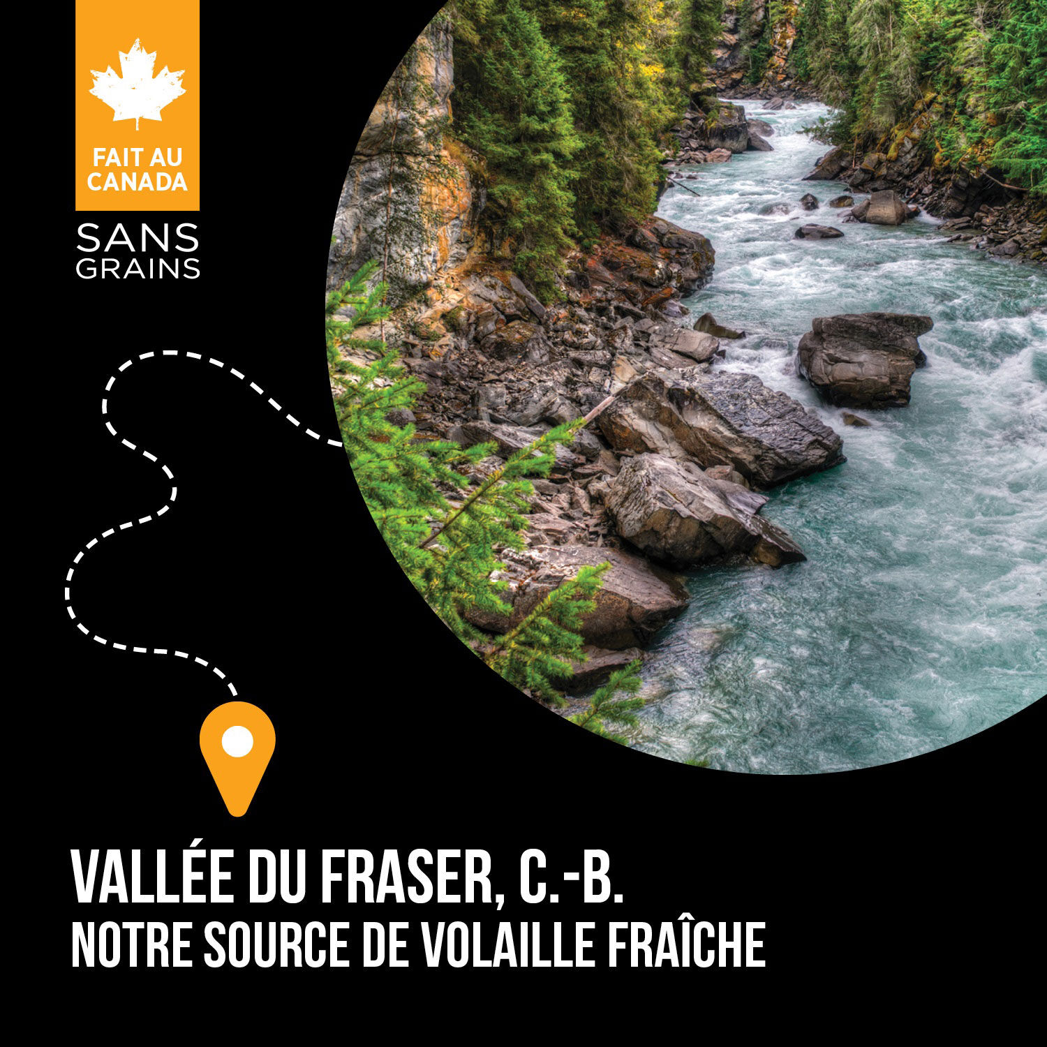 Nutrience SubZero Vallée du Fraser Nourriture sèche pour Chien, 1.8 kg – Image 6