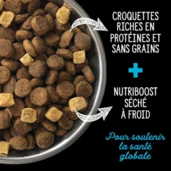 Nutrience SubZero Pacifique Canadien Nourriture pour Chien, 1.8 kg – Image 5