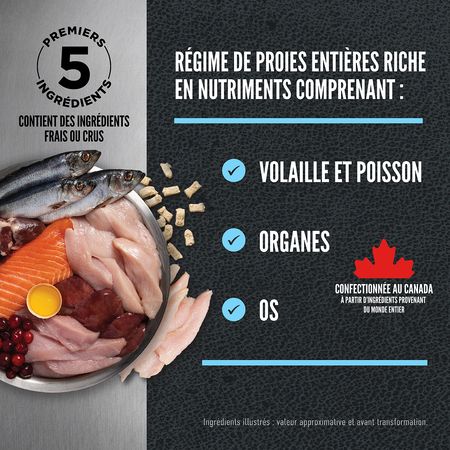 Orijen Wild Reserve Nourriture au Poulet pour Chien – Image 4