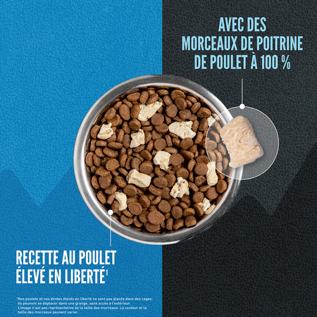 Orijen Wild Reserve Nourriture au Poulet pour Chien – Image 5