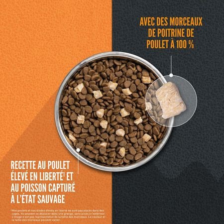 Orijen Wild Reserve Nourriture au Poulet et Poisson pour Chat – Image 3
